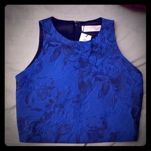 NWT Stunning crop top! Detailing is exquisite💕